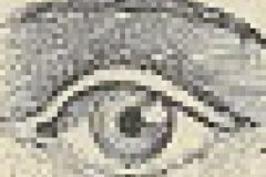 cropped-The-Protector-Lamp-Eye_edited